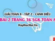 Bài 2 trang 36 Toán 8 Tập 2 Chân trời sáng tạo